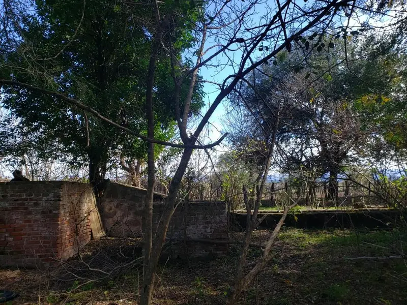 Foto 8