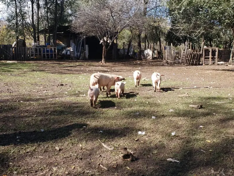 Foto 4