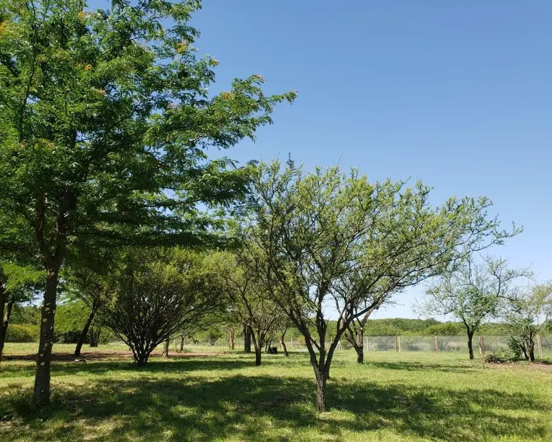 Terreno en venta · Mendiolaza, Colon, Córdoba Terreno en venta · Mendiolaza, Colon, Córdoba