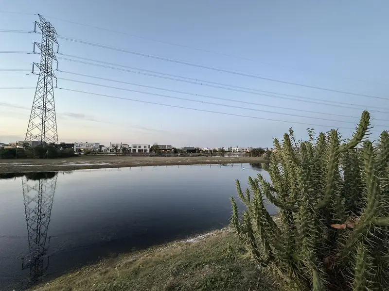 Foto 53