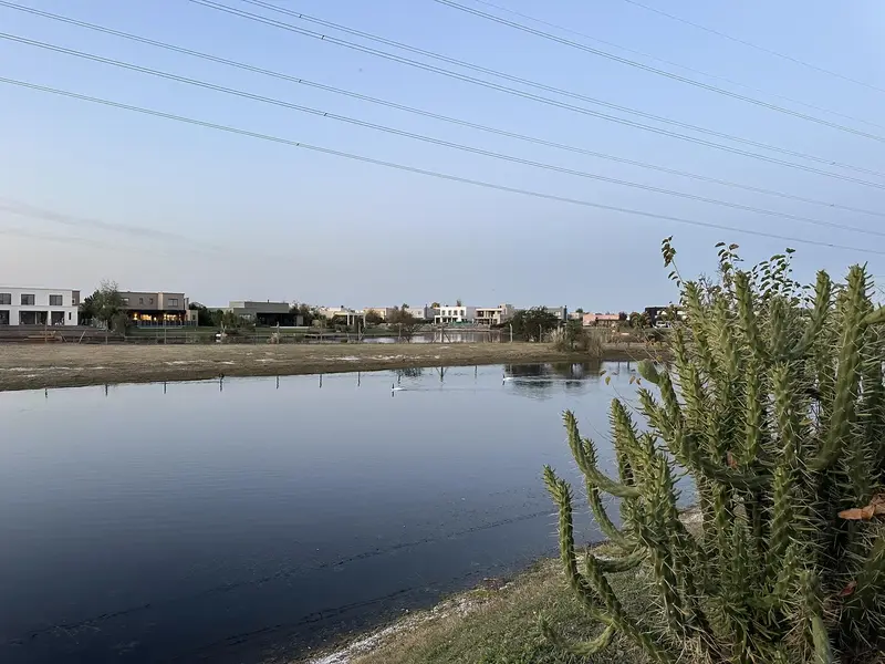 Foto 51
