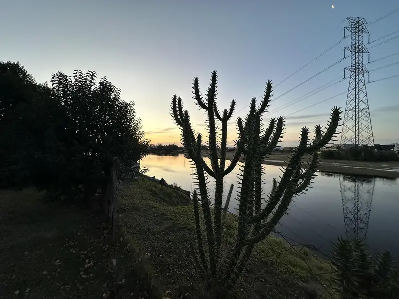 Foto 47