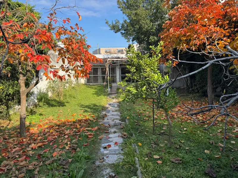 Foto 20