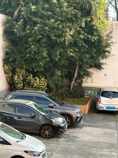 Foto 19