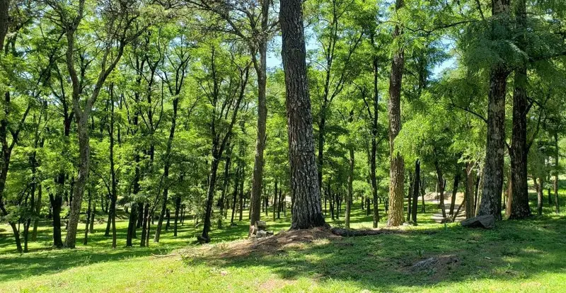 Terreno en venta · Potrero de Garay, Santa Maria, Córdoba