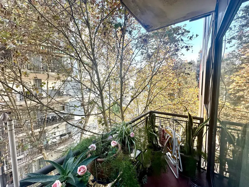 Foto 19