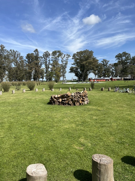 IMG_5980.jpeg