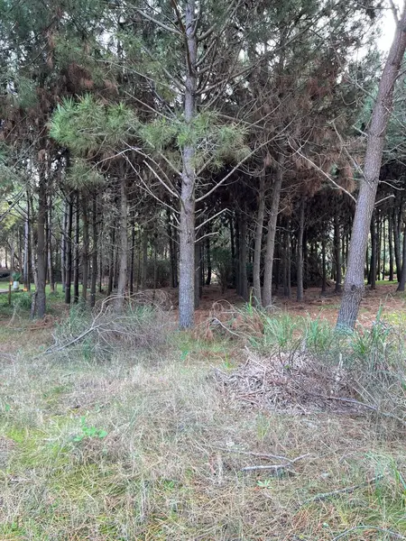 Terreno en venta · Costa Esmeralda, Punta Medanos, La Costa, Costa Atlántica, Provincia de Buenos Aires
