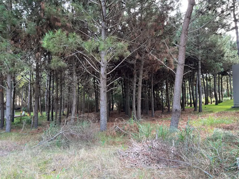 Terreno en venta · Costa Esmeralda, Punta Medanos, La Costa, Costa Atlántica, Provincia de Buenos Aires