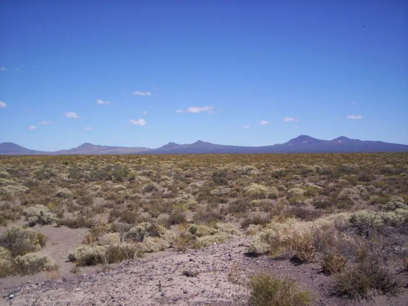 Terreno en venta · San Rafael, Mendoza