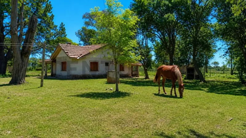 Terreno en venta · Dolores, Dolores, Interior de Buenos Aires, Provincia de Buenos Aires