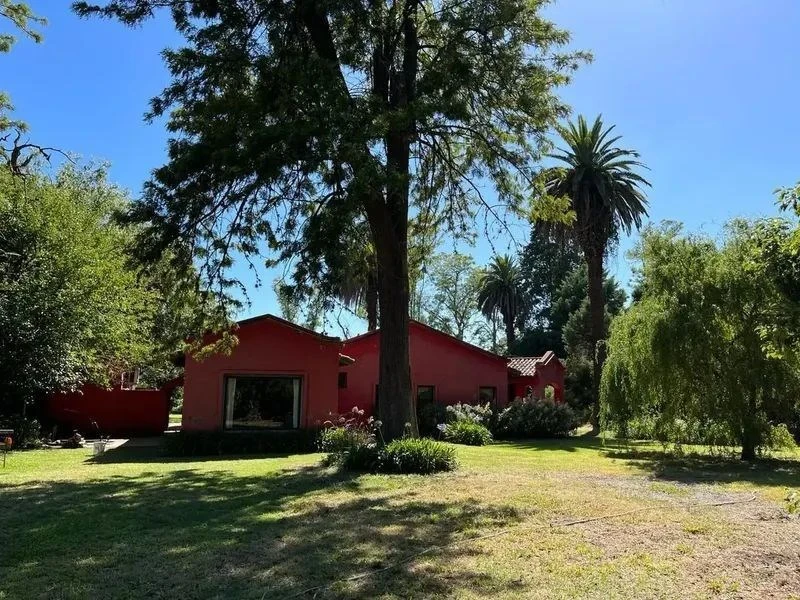 Foto 4