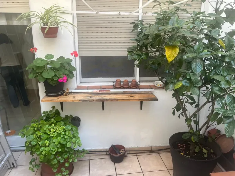 Foto 15