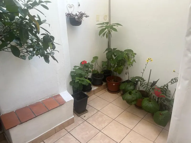 Foto 12