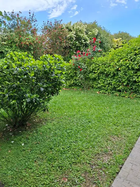 Foto 72