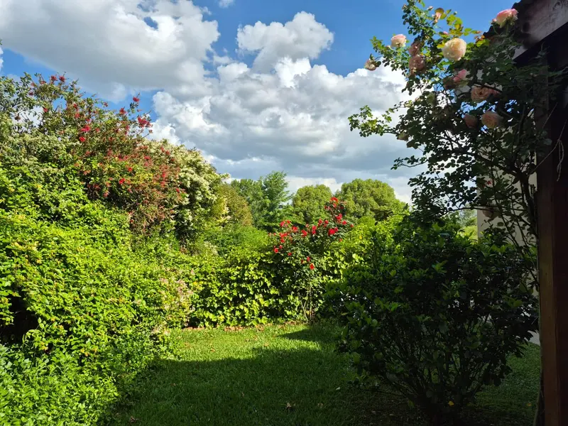 Foto 64