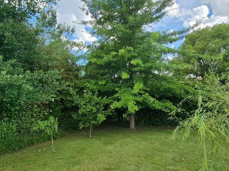Foto 62