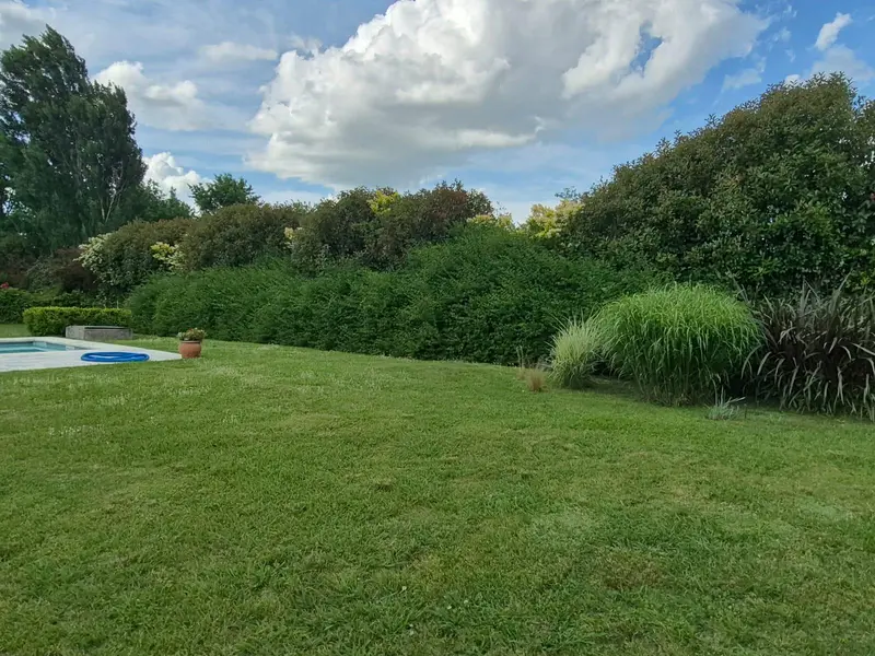 Foto 49