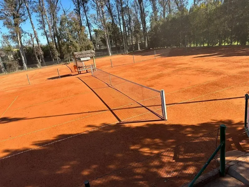 tenis.jpg