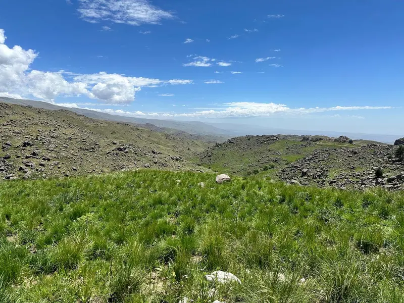 Terreno en venta · Yacanto Calamuchita, Calamuchita, Córdoba