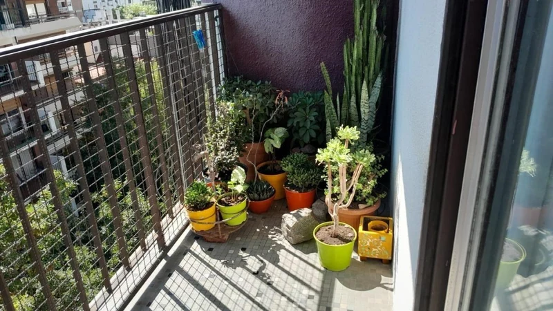 Foto 9