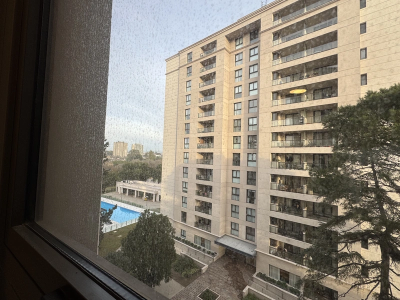 IMG_7977.jpeg