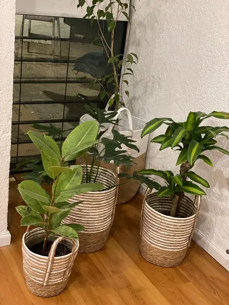 Foto 21