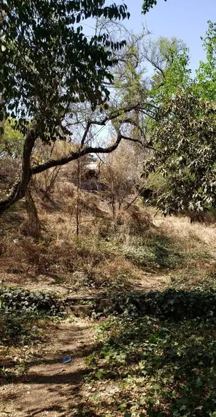 Foto 13