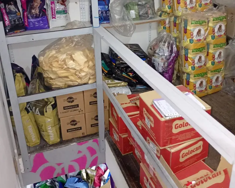 Foto 10