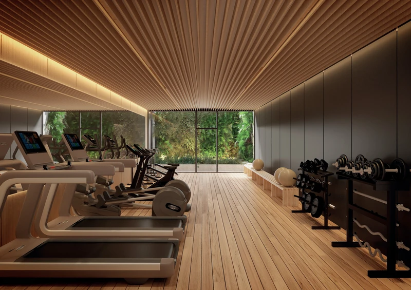 12_gimnasio_fitness.jpg
