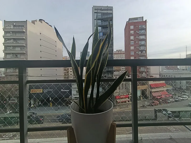 Foto 7