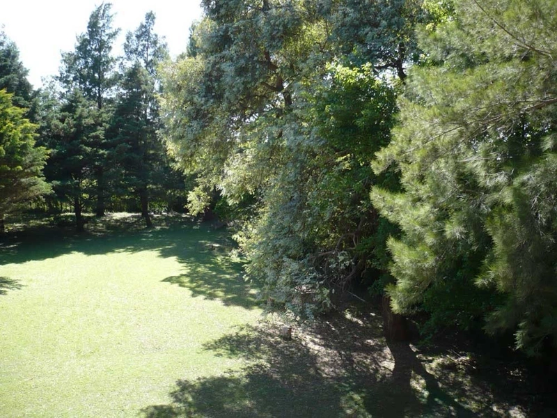Foto 15