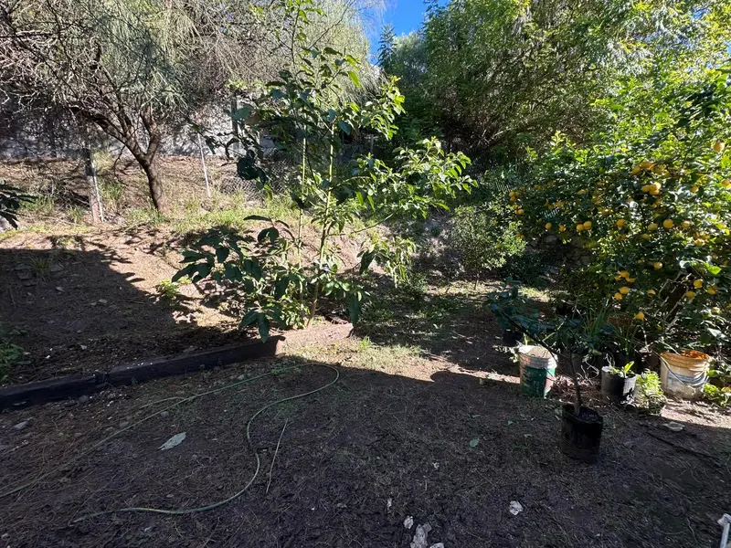 Foto 39