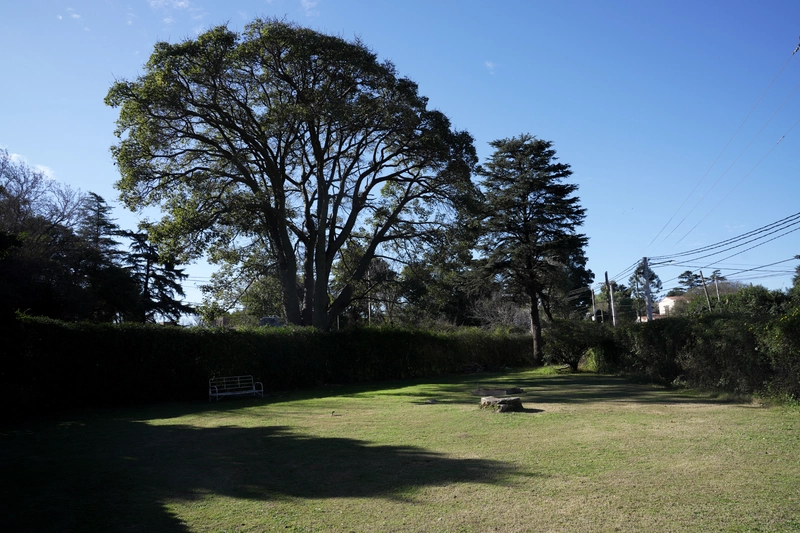 DSC01167.jpg