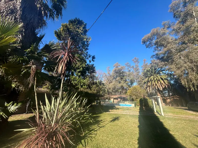 Foto 14