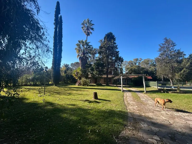 Foto 5