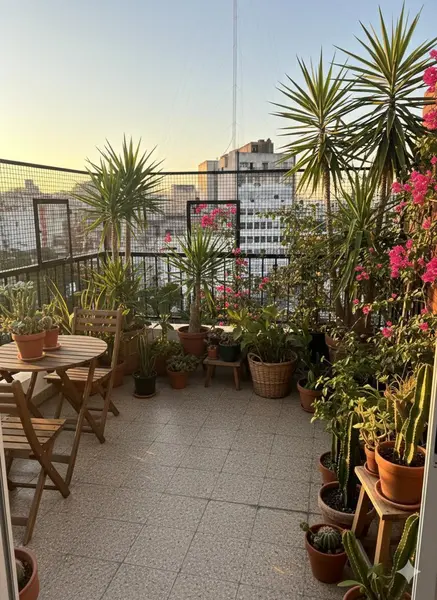 Foto 7