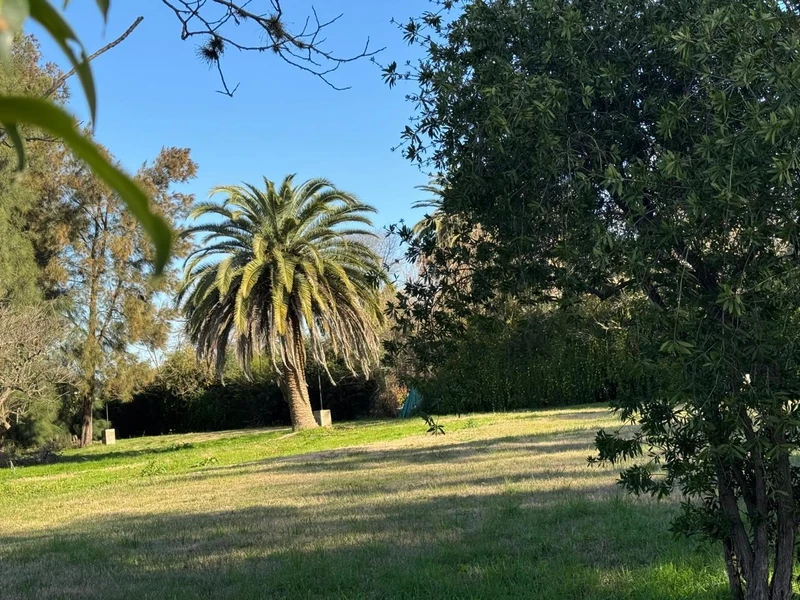 Foto 15
