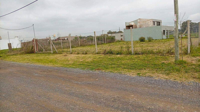 LOTE CAÑUELAS 3.jpeg