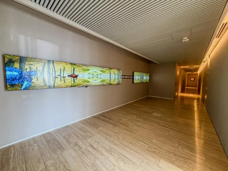 Foto 54