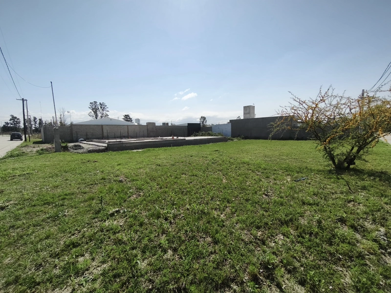 IMG_20250920_115133.jpg