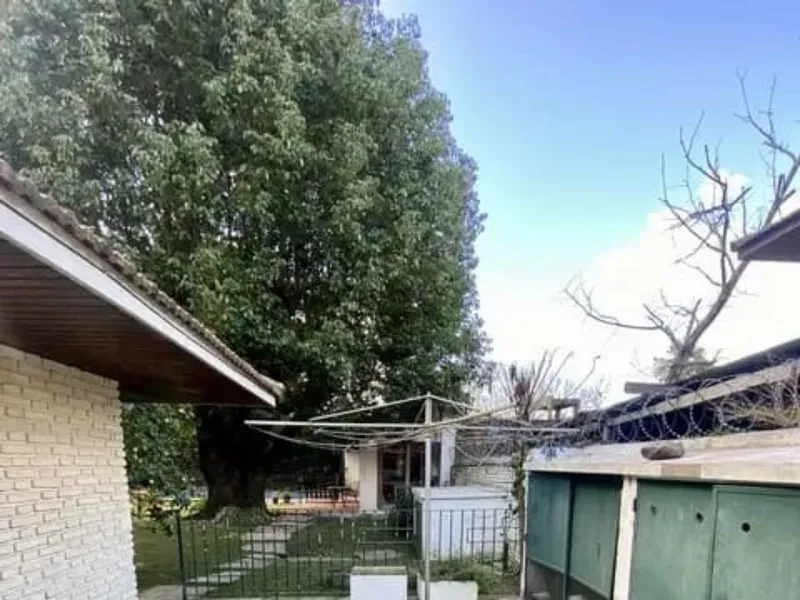 Foto 8