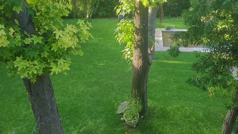 Foto 22