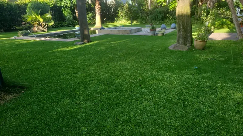 Foto 23