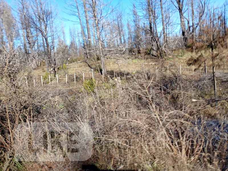Terreno en venta · Mallin Ahogado, El Bolsón, Bariloche, Río Negro