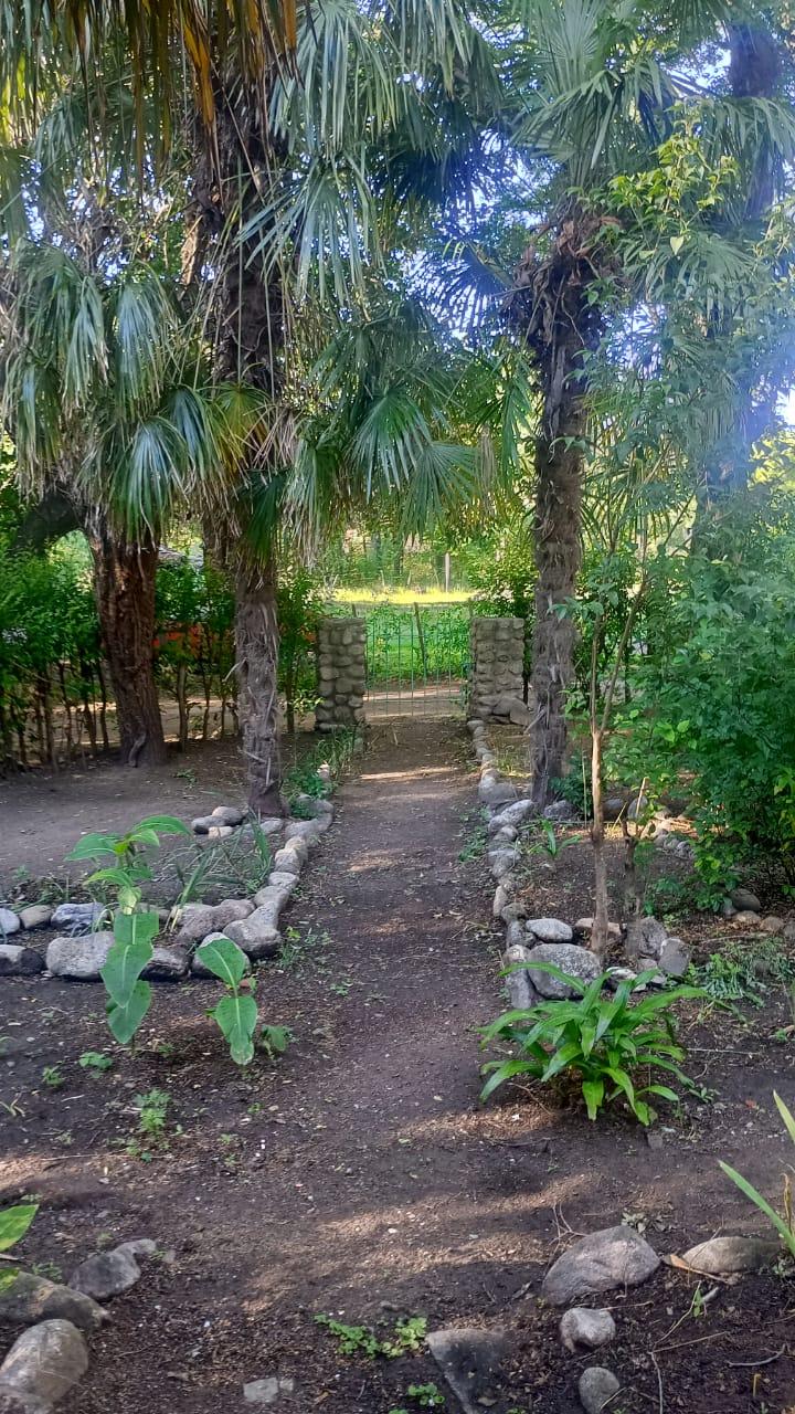 Terreno en venta · Las Rabonas, San Alberto, Córdoba