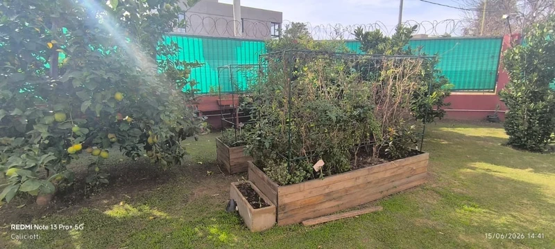 Foto 3
