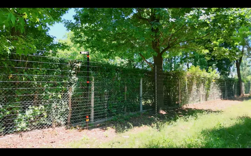 Foto 22