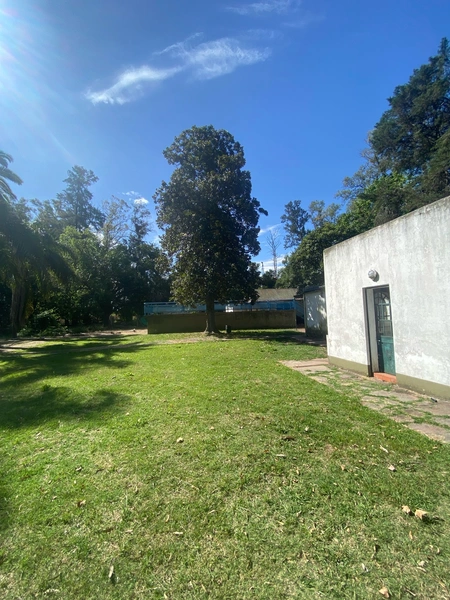 Foto 19