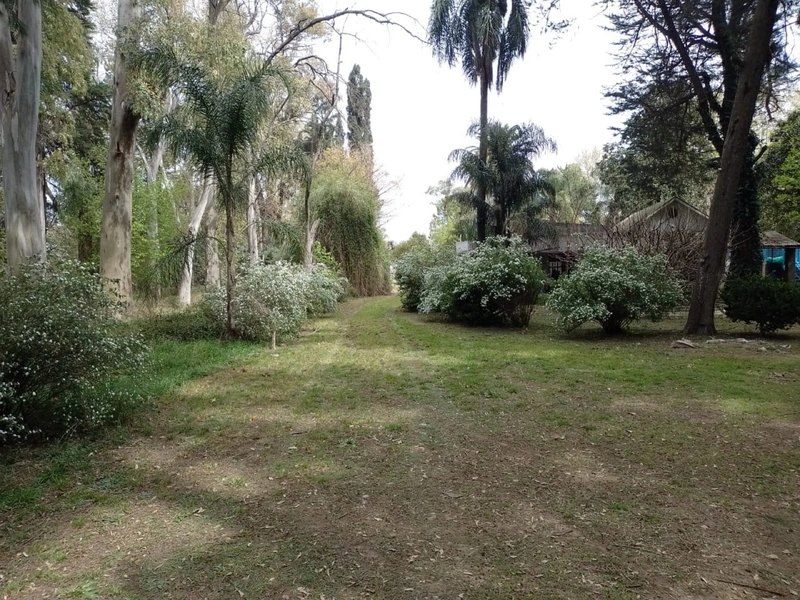 Foto 8